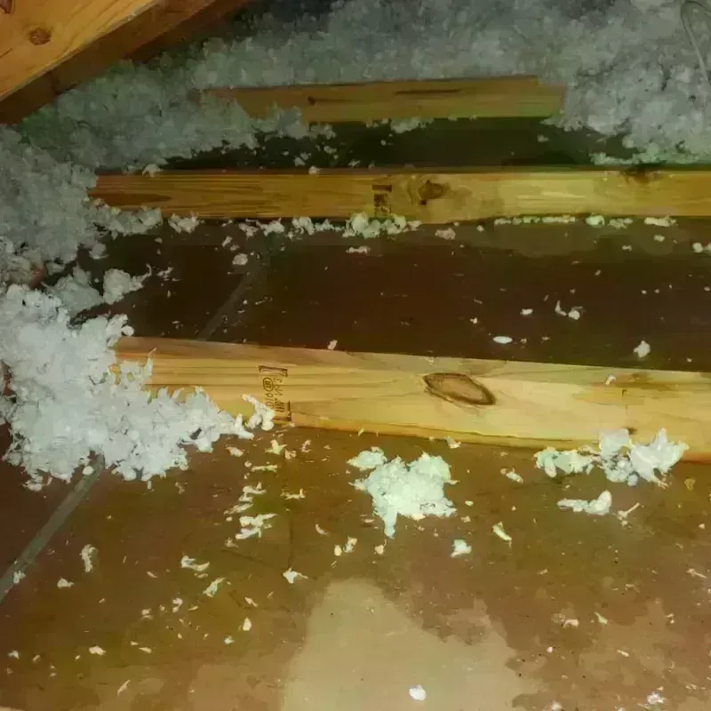 Best Attic Water Damage Service in Markesan, WI