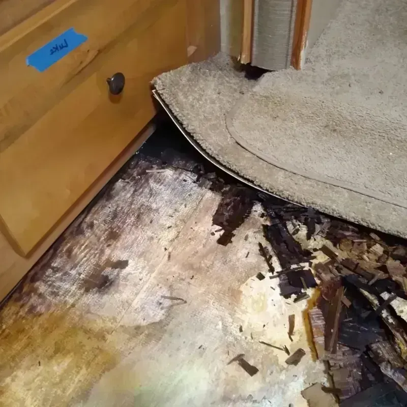 Wood Floor Water Damage in Markesan, WI